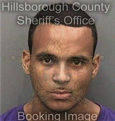 Leonardo Almenares, - Hillsborough County, FL 