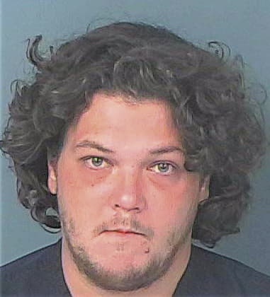 James Dingman, - Hernando County, FL 