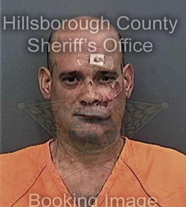 Christopher Hensley - Hillsborough County, FL 