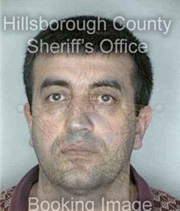 Steven Hewes - Hillsborough County, FL 