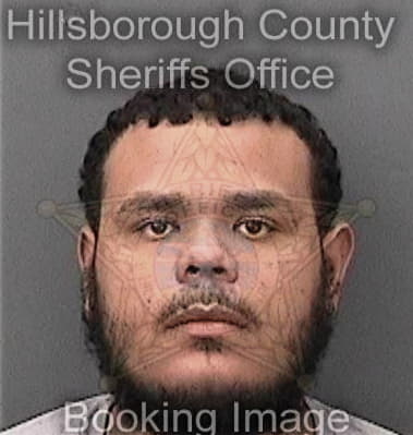 Raheim Lewis, - Hillsborough County, FL 