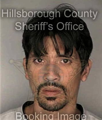 Robert McCall - Hillsborough County, FL 