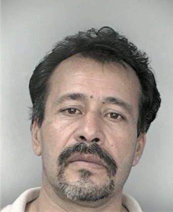 Enrique Nunez, - Hillsborough County, FL 