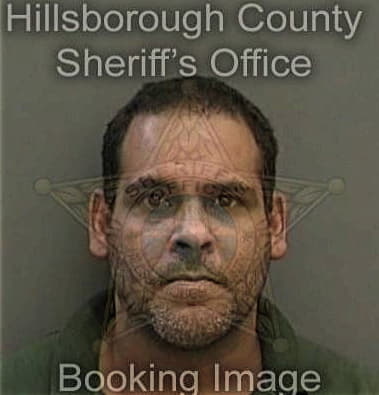 Carlos Rodriguezcruz, - Hillsborough County, FL 