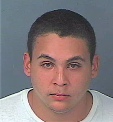 Jazer Sanchez-Virgen, - Hernando County, FL 