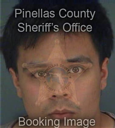 Robert Costello, - Pinellas County, FL 