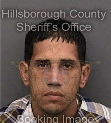 Donald Coulter, - Hillsborough County, FL 