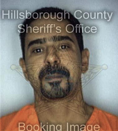 Rickey Goins, - Hillsborough County, FL 