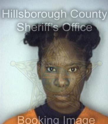 Tiffany Johnson, - Hillsborough County, FL 