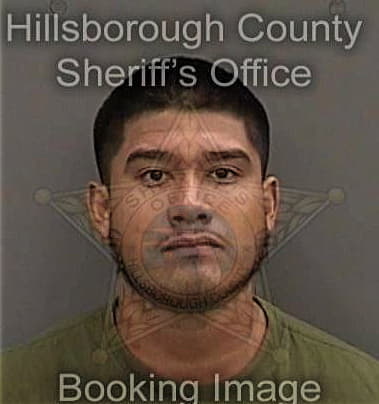 John Mills - Hillsborough County, FL 