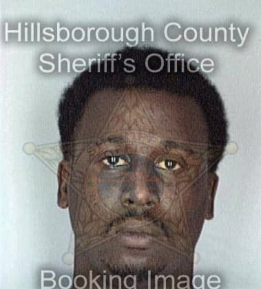 Deandre Perry, - Hillsborough County, FL 