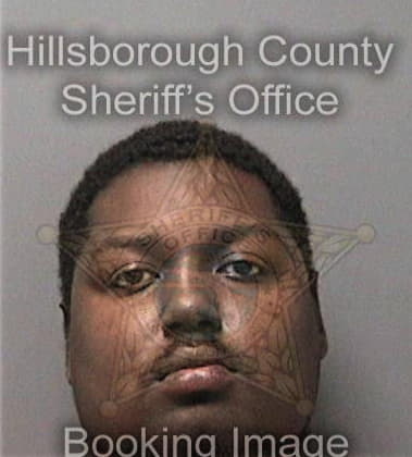 Nathaniel Anderson, - Hillsborough County, FL 