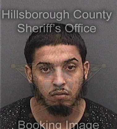 Teodoro Arellano, - Hillsborough County, FL 