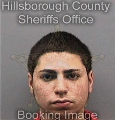 Daniel Bowles - Hillsborough County, FL 