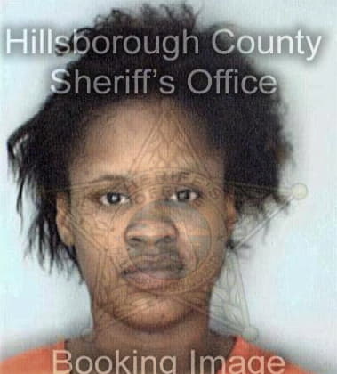Debra Clemons - Hillsborough County, FL 