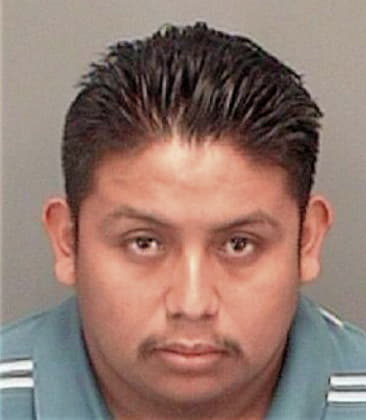 Wilmer Lopezocampo, - Pinellas County, FL 