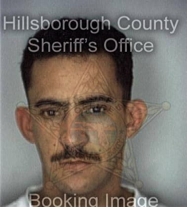 William Matthews - Hillsborough County, FL 