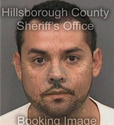 Timothy Otto, - Hillsborough County, FL 