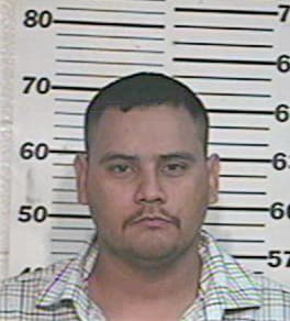 Jaime Alejandro, - Hidalgo County, TX 