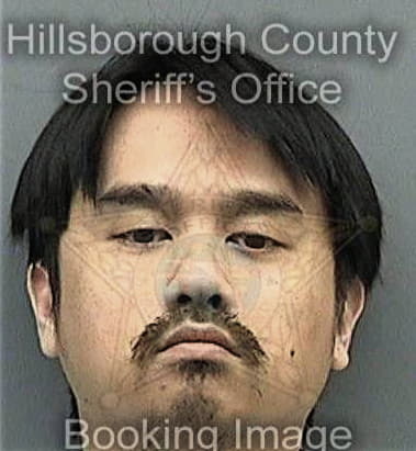 Davindra Beharrylal, - Hillsborough County, FL 