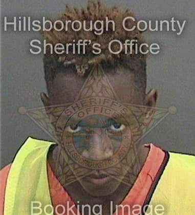 Jacoby Callins, - Hillsborough County, FL 