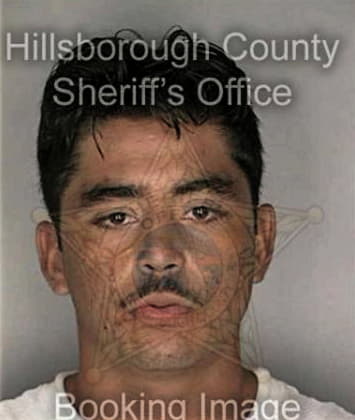 Michael Collins, - Hillsborough County, FL 