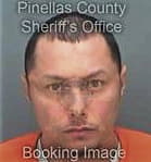 Danijel Nedic, - Pinellas County, FL 