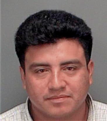 Manuel Patinoespinosa, - Pinellas County, FL 