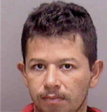 Vincent Cognale, - Lee County, FL 