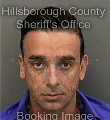 Mathew Dees, - Hillsborough County, FL 