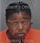 Shirley George, - Pinellas County, FL 