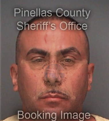 Jose Hectorortiz, - Pinellas County, FL 