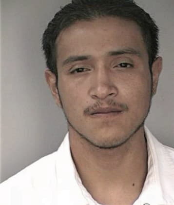 Isaias Hernandez - Hillsborough County, FL 