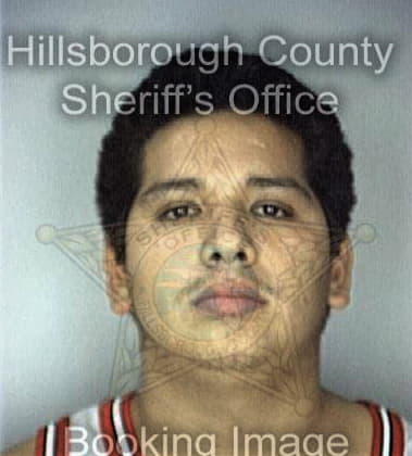 Lee Palacios, - Hillsborough County, FL 