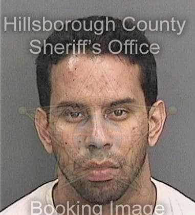 Carlos Riveraguzman - Hillsborough County, FL 