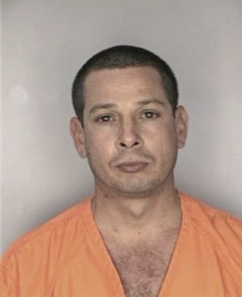 Rafael Seoane, - Hillsborough County, FL 