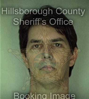 Desmond Torres, - Hillsborough County, FL 