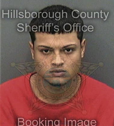 Mihuzar Alvaradovelazquez, - Hillsborough County, FL 