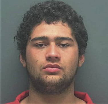 Marino Hernandez-Mendez, - Lee County, FL 