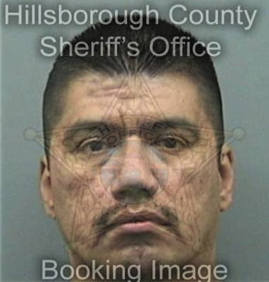 Michael Marano, - Hillsborough County, FL 