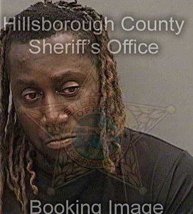 Wisner Polissaint, - Hillsborough County, FL 