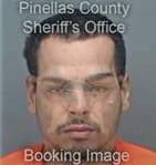 Narjol Alvarezcibreiro, - Pinellas County, FL 