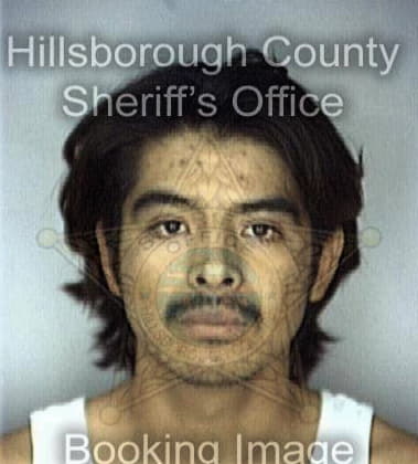 Gerald Brewer - Hillsborough County, FL 
