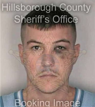 Federico Castillo, - Hillsborough County, FL 