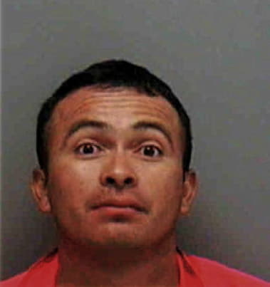 Ernesto Gonzalez, - Lee County, FL 