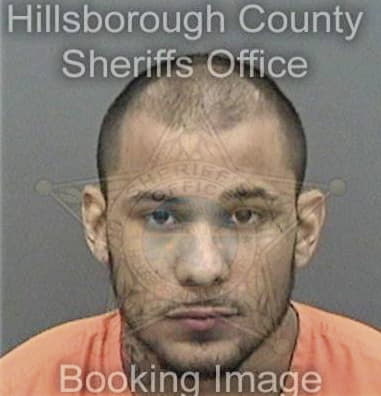 Patrick Lawrence, - Hillsborough County, FL 