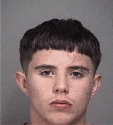 Eleyson Maldonado, - Pasco County, FL 