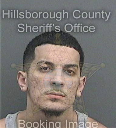 Enrique Rivera - Hillsborough County, FL 