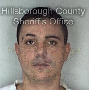 Charles Wagner, - Hillsborough County, FL 