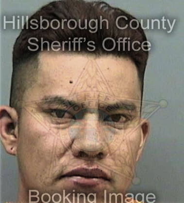 Gregory Heine, - Hillsborough County, FL 